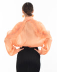 Pleated ruffles with multi dimoned stone embellished sleeves design organza shirt in peach