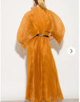 Pleated long dress with organza pleated cape sleeves in Gold