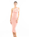 Knitted stretch cotton Bodycon midi dress with Camellias Brooches in pink