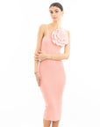 Knitted stretch cotton Bodycon midi dress with Camellias Brooches in pink