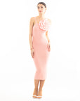 Knitted stretch cotton Bodycon midi dress with Camellias Brooches in pink