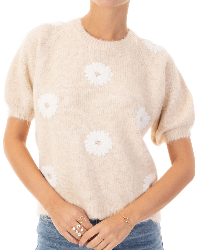 Floral Pattern Embroidered Soft knit Short Sleeves Jumper in Beige