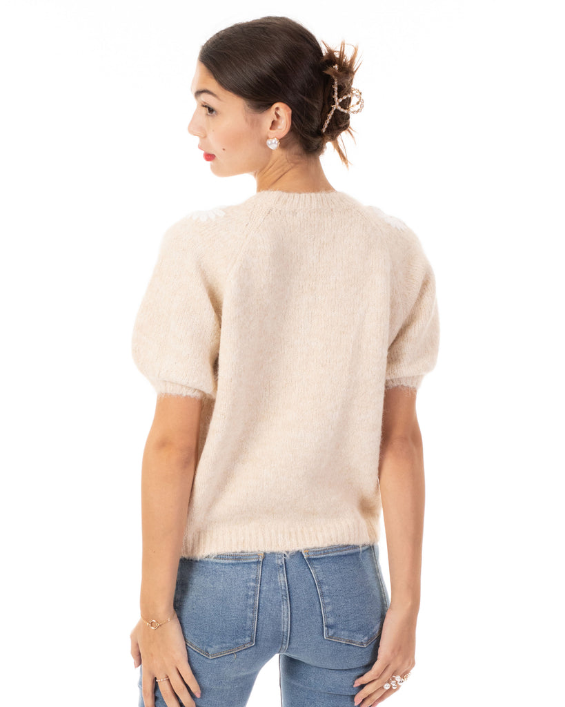 Floral Pattern Embroidered Soft knit Short Sleeves Jumper in Beige