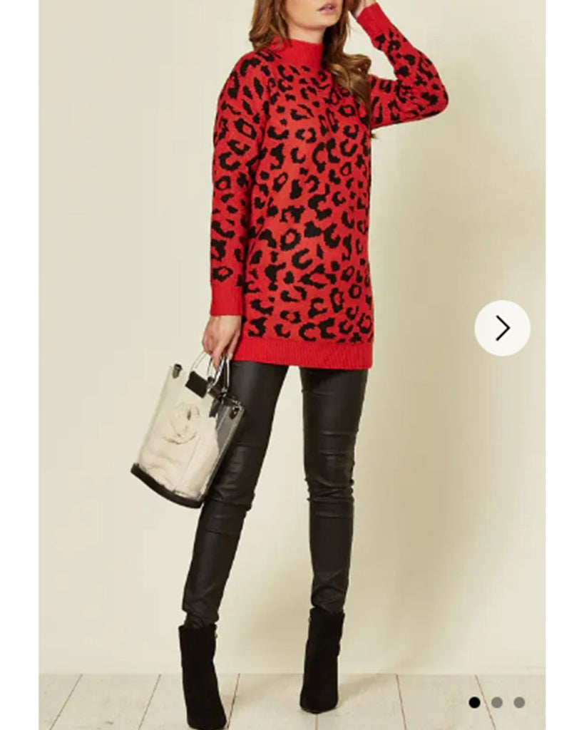 Leopard Print Jumper