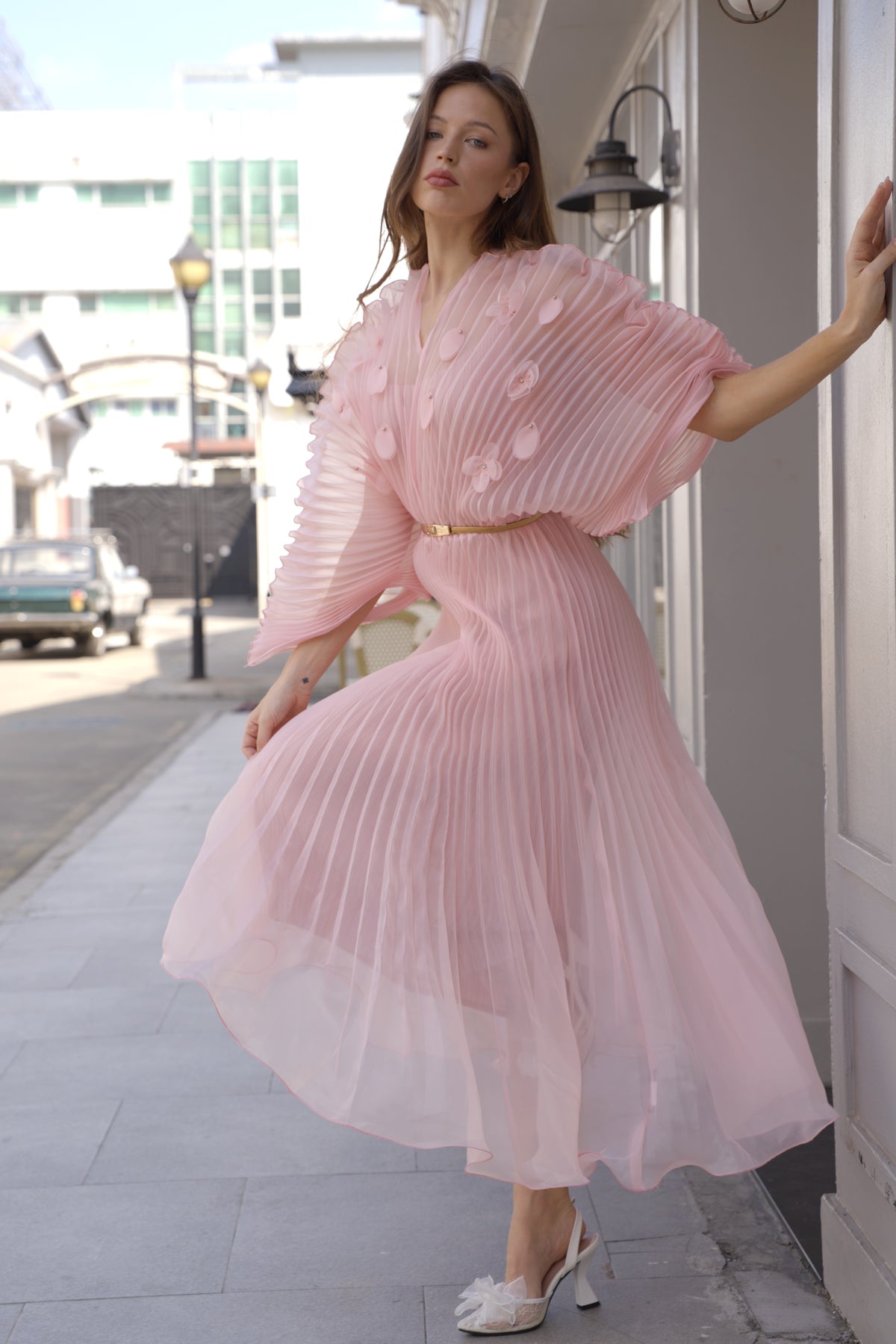 Floral Appliqué Pleated Organza Cape Midi Dress