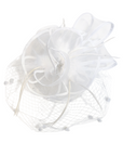 Statement Fascinator with Veil, Bow and Feather Accents