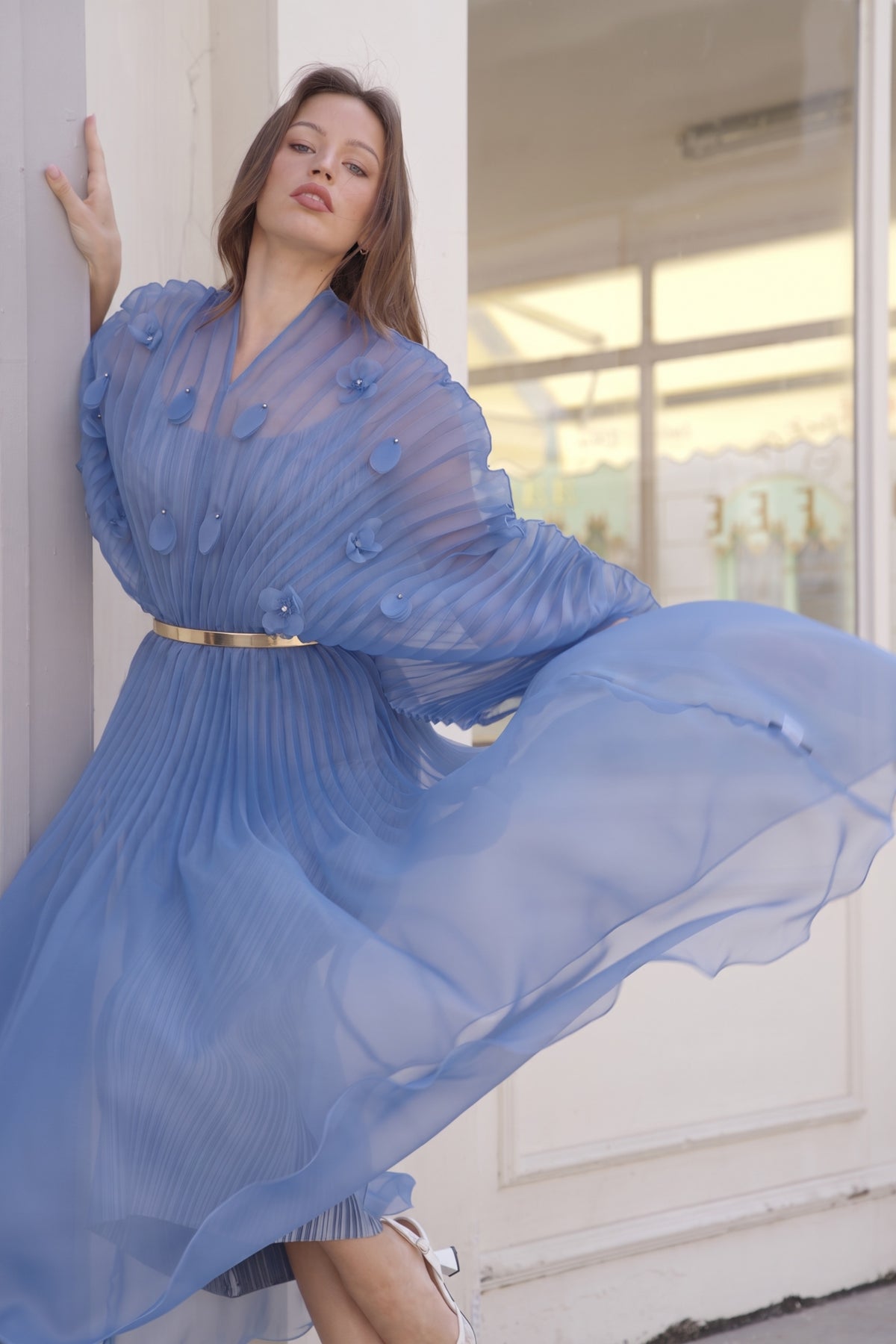 Floral Appliqué Pleated Organza Cape Midi Dress