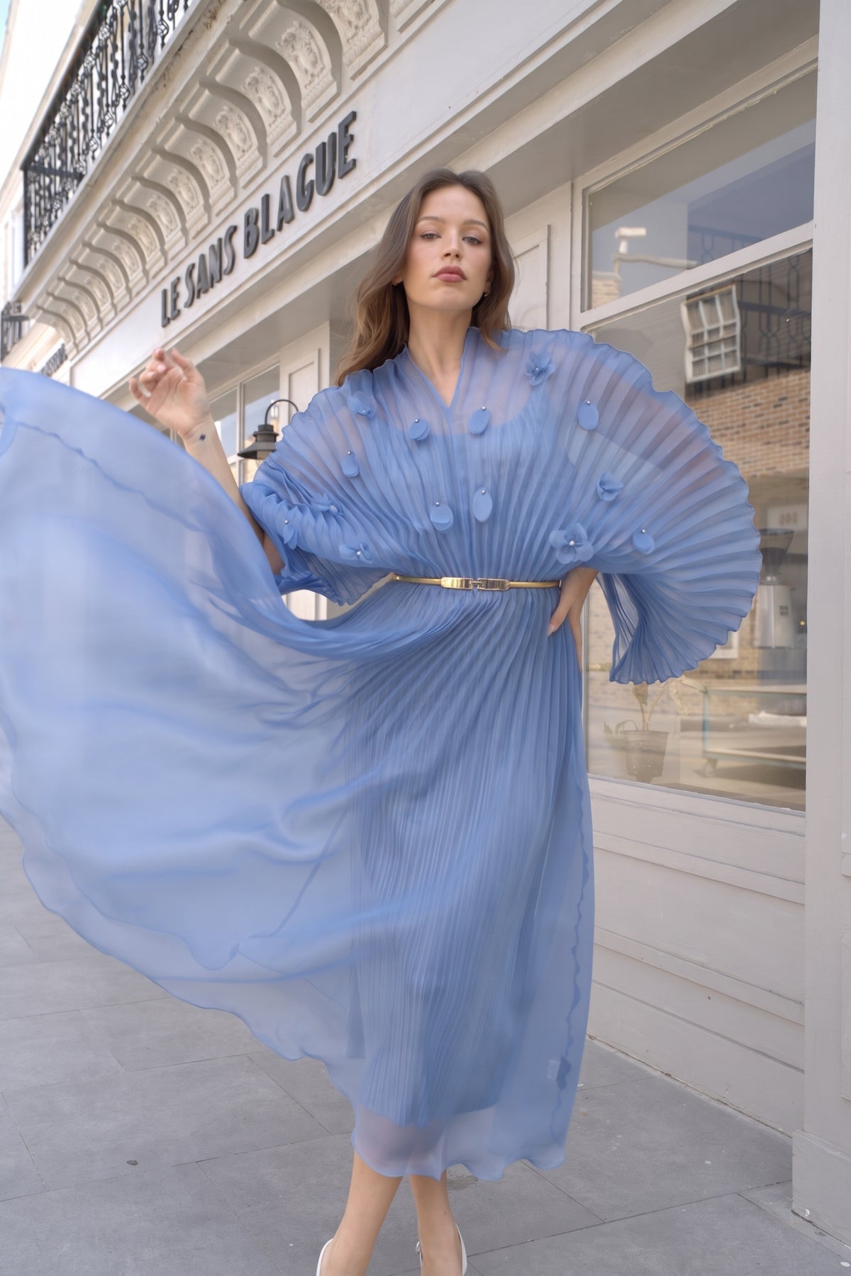 Floral Appliqué Pleated Organza Cape Midi Dress
